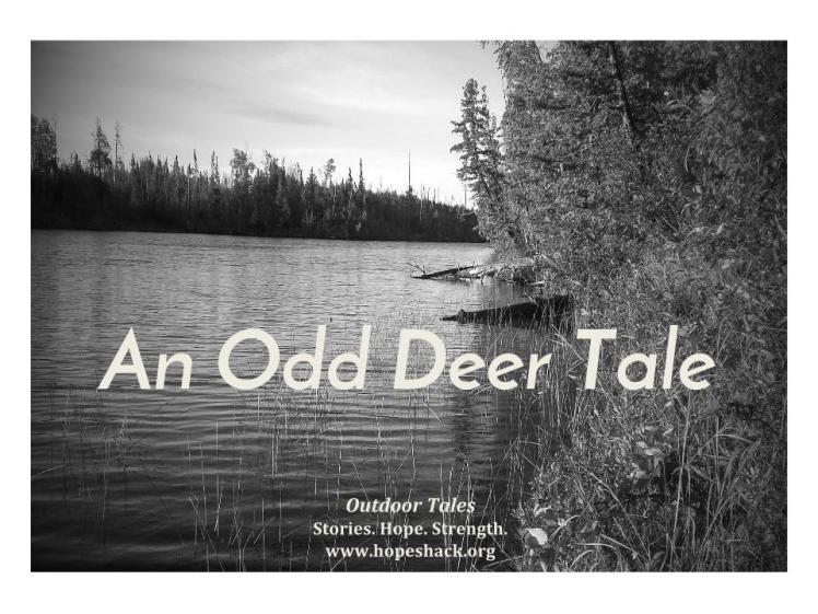 Outdoor Tales (3)
