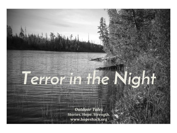 Terror in the Night