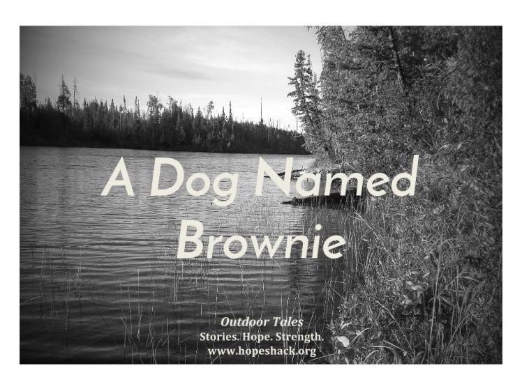 A Dog Named Brownie