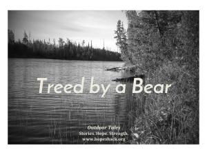 treed-by-a-bear